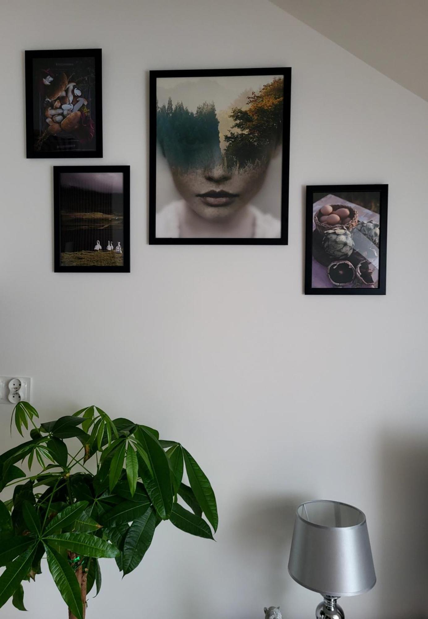 Dolina Baryczy Apartment *