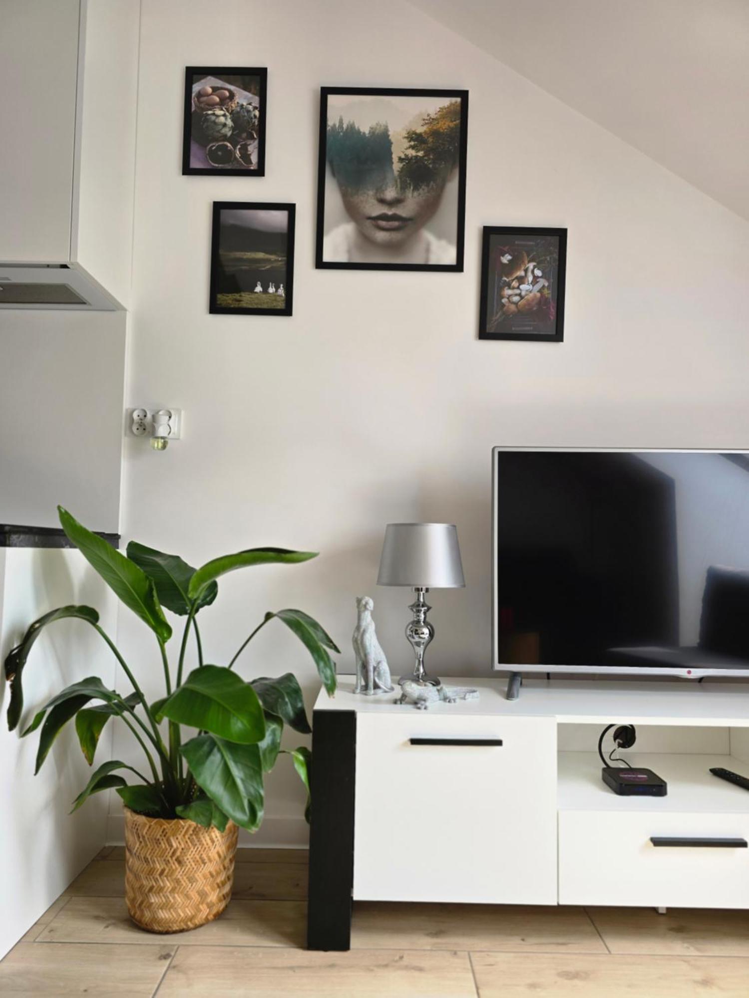 Apartment Dolina Baryczy *